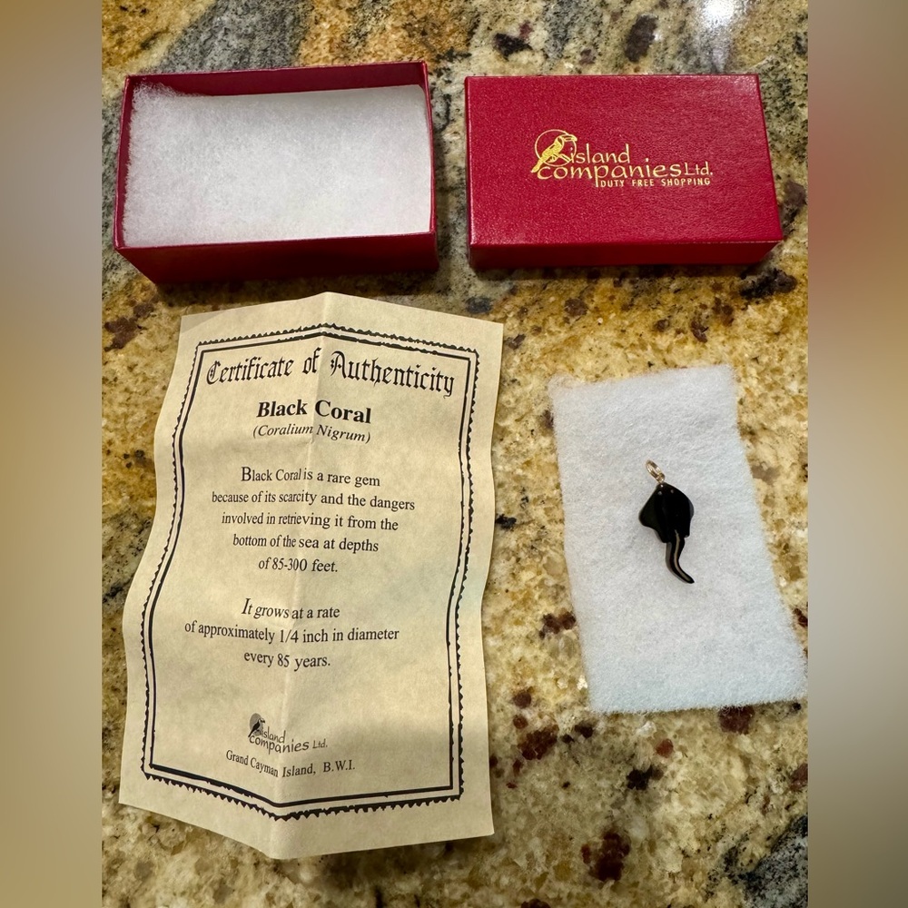 BlackCoral Stingray Pendant